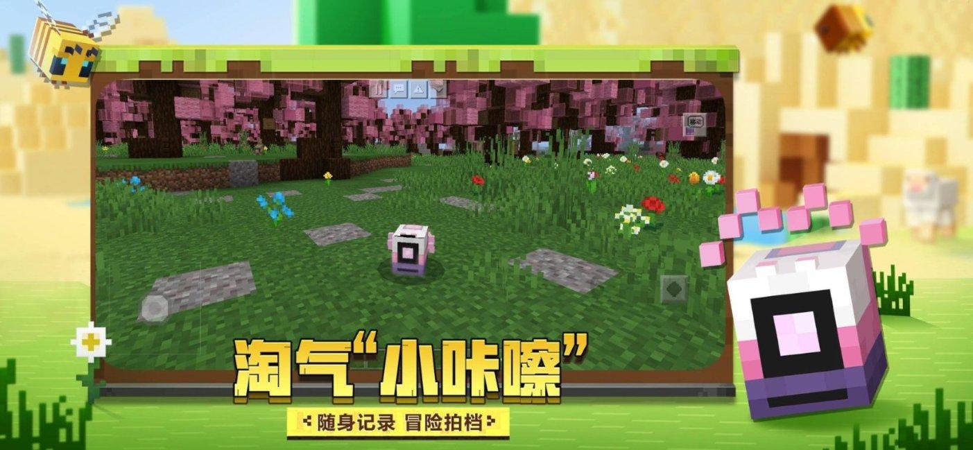 寻找海盗帽的男孩